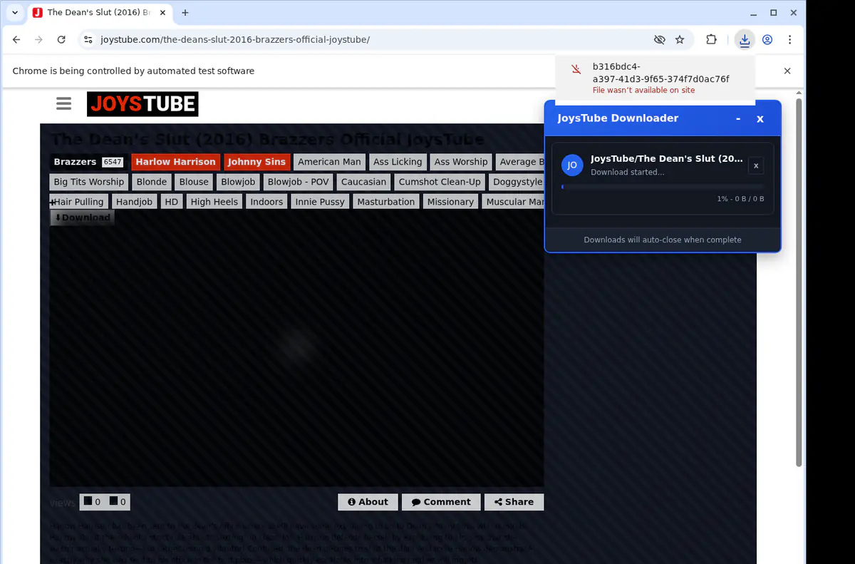 Joystube Video Downloader browser extension screenshot 2