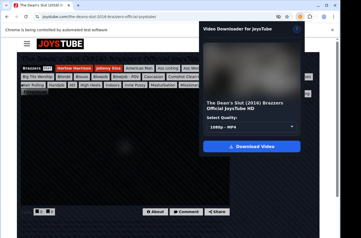 Joystube Video Downloader browser extension screenshot 3